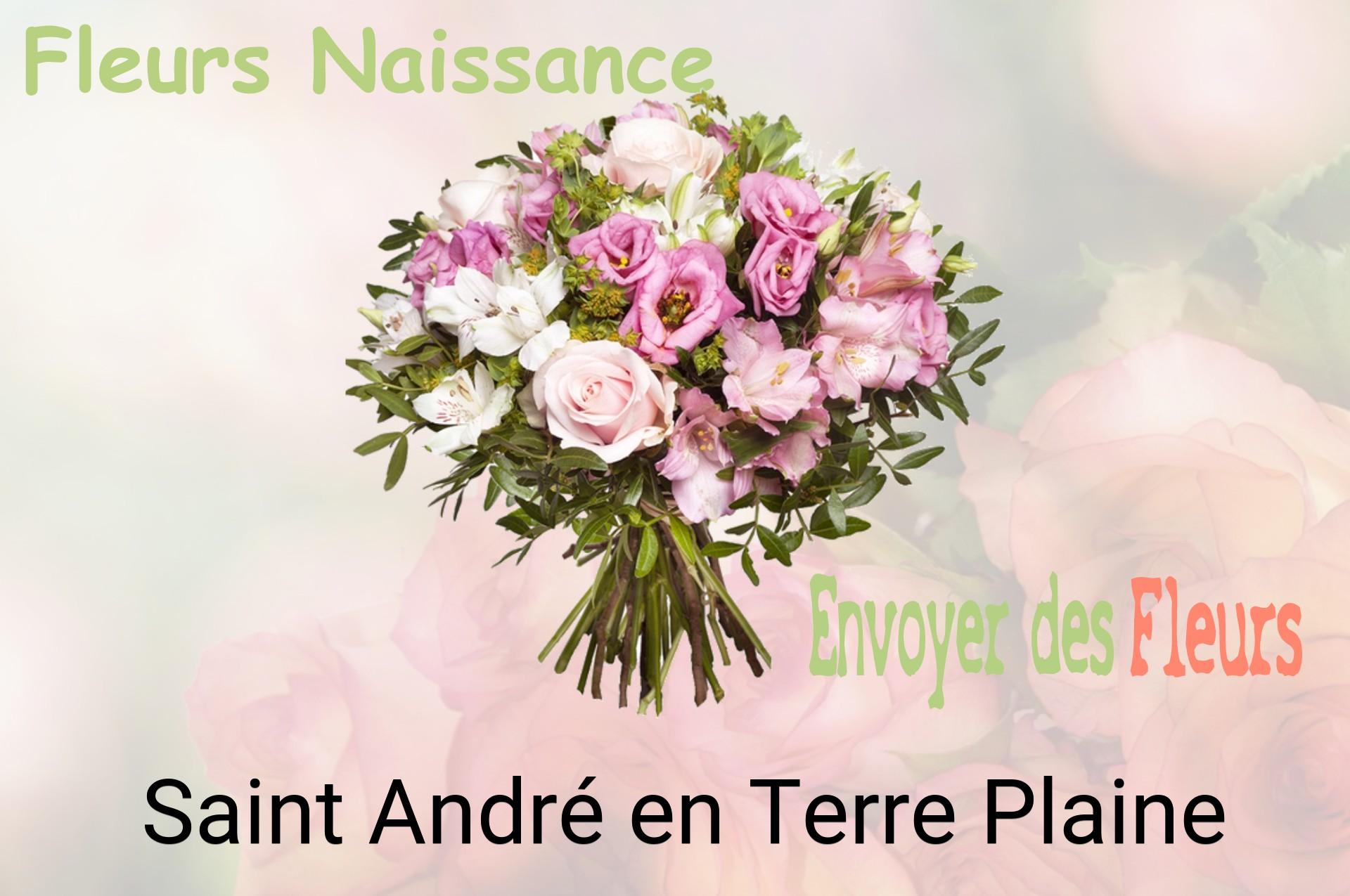 Bouquet de fleurs de naissance livré à Saint-André-en-Terre-Plaine