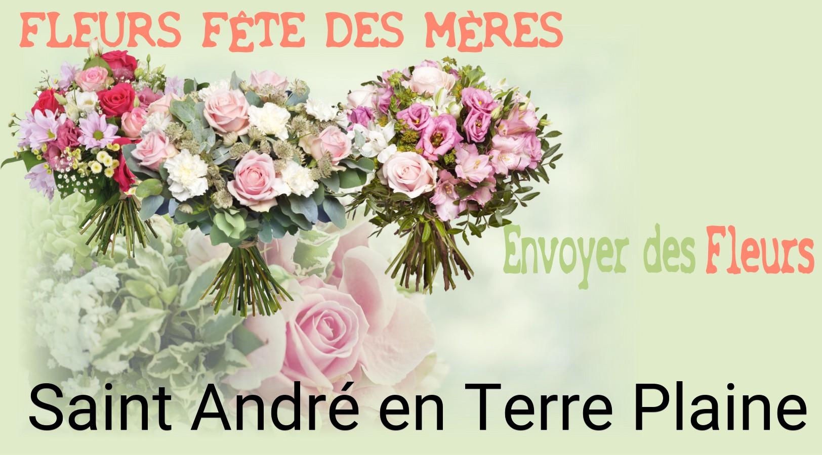 Bouquet de Fête des Mères livré à Saint-André-en-Terre-Plaine